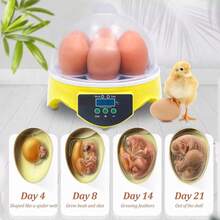 Incubadoras Automáticas Para 7 Huevos De Huevos Digital Hatcher Huevos Transparentes Máquina De Incubación Control Automático De Temperatura Para Pollo Pato Huevos De Pájaro - Tipo de Enchufe A USA (110-127V) - Ver 4