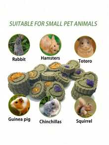 1/3/5 Pcs Natural Timothy Grass Chew Toys, Handmade For Rabbits, Guinea Pigs, Hamsters, Gerbils And Other Pets, Random Styles