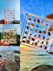 1pc 36-Slot Acrylic Transparent Shell Storage Box, Mini Stone Beach Specimen Display Case, Insect Collection Box, Women's Organizer Box, Travel Essential, Back To School Dorm Storage - Clear - View 7