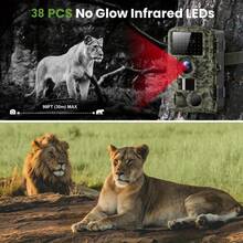 Outdoor Wildlife Photography Camera | 16 MP Game Camera With Night Vision, 0.7s Trigger Motion Activation, 90° Wide Angle & 38 Glow-Free IR LEDs, Fits Tree Stand - Green - View 5
