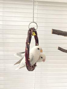 1 pieza Corona tejida con rama de manzano, Aro colgante de loro, Columpio de pájaro, Percha de pájaro, Juguete para roer en forma de círculo de ratán, Suministros educativos para pájaros, Accesorios para jaula de pájaros