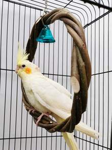 1 pieza Corona tejida con rama de manzano, Aro colgante de loro, Columpio de pájaro, Percha de pájaro, Juguete para roer en forma de círculo de ratán, Suministros educativos para pájaros, Accesorios para jaula de pájaros