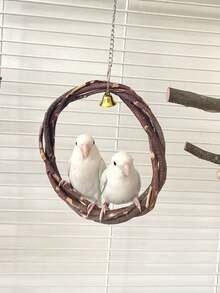 1 pieza Corona tejida con rama de manzano, Aro colgante de loro, Columpio de pájaro, Percha de pájaro, Juguete para roer en forma de círculo de ratán, Suministros educativos para pájaros, Accesorios para jaula de pájaros