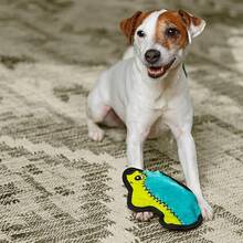 Outward Hound Durablez Minis Stuffing-Free Squeaky Plush Dog Toy For Puppies & Small Dogs - Interactive, Soft Yet Tough, No Mess, Jumbo Squeaker, Long-Lasting Play, Fox - Nhím - Xem 5