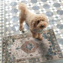 1 pieza Felpudo de interior lavable, Felpudo de estilo bohemio vintage, Alfombra de entrada, Alfombra de puerta para cocina, hogar, patio y baño, Decoración navideña de invierno para el hogar