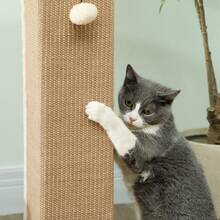 PawHut Cat Scratching Post With Vertical Sisal Rope Ball Plush, 81cm, Beige - Beige - View 7