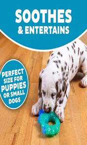 Outward Hound Cutie Chewies Hedgehog Dental Dog Chew Toy, Blue - ColorD - 查看 4