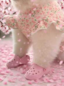 2pcs/1pair Mini Porous Shoes Classic Design Cats And Dogs Pet Photography Accessories Cute And Funny Small Pet Toys Puppy Shoes Cartoon Accessories Cute Mini Shoes Very Cute Puppy Shoes