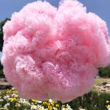 Váy lót kiểu Lolita mềm mại, mỏng nhẹ, không gọng, chất liệu voan, thích hợp mặc hàng ngày, dáng chữ A bồng bềnh, có thể dùng làm lớp lót váy công chúa cho phụ kiện cosplay ngày Valentine. - Màu Hồng baby - Xem 4