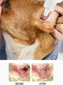 YEGBONG Cat And Dog Ear Drops 30ml, Cat And Dog Ear Cleaning Liquid, Special Ear Cleaning Liquid, Effectively Removes Earwax, Cleans Ear Canal Stains, Eliminates Odors, Including 10 Cotton Swabs
