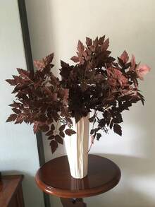 2包仿真商陆叶喷雾，李子色商陆枝叶，秋季仿真丝喷雾植物，适用于家居花瓶、婚礼、花园、农舍、餐桌、壁炉架等室内外装饰，可用于感恩节、万圣节、圣诞节装饰、派对、家居装饰、房间装饰等。 - 彩色 - 查看 4