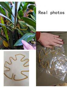 植物茎支撑,可重复使用的金属攀爬植物茎支撑桩,耐用的龟背竹稳定器抓钩支架,独特的攀爬植物设计,龟背竹夹套装,促进植物蓬勃发展的理想植物支撑 - 多色 - 查看 12