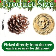 200 pezzi Pigne di Natale naturali mini - Pigne di Natale innevate piccole da 2 cm per decorazioni natalizie - Pigne innevate mini per artigianato fai-da-te, riempimento di vasi, decorazioni autunnali e invernali per albero di Natale