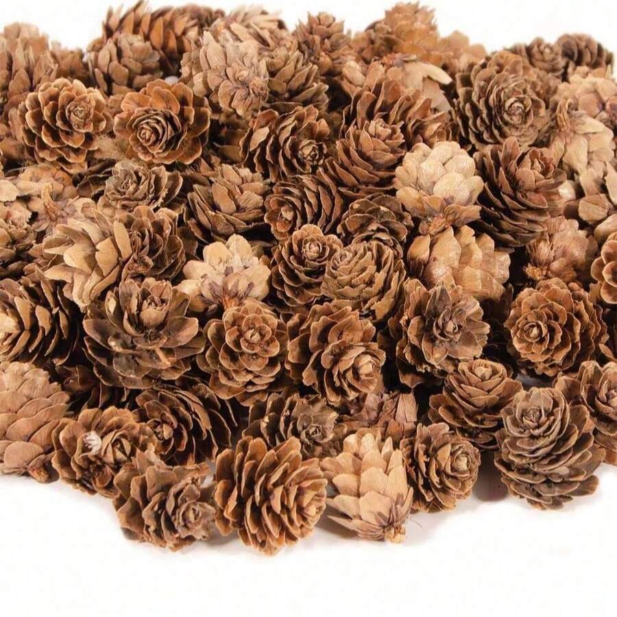 30 Stücke Natürliche Mini Tannenzapfen - 2cm kleine Weihnachts-Schneezapfen Ornamente - Thanksgiving Mini Schneezapfen für DIY Basteleien, Vasen Füllungen, Herbst Winter Heim Weihnachtsbaum Dekoration - Kastanienbraun - Übersicht 1