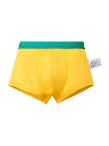 4条装舒适男孩工程车和恐龙印花三角裤 - 彩色 - 查看 6