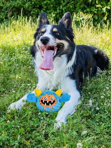 Halloween Dog Toys Monster Design Funny 3 IN 1 Interactive Pet Toys, Puppy Teething Toys Dogs Birthday Gifts, Durable Dog Balls For Small Medium Large Dogs