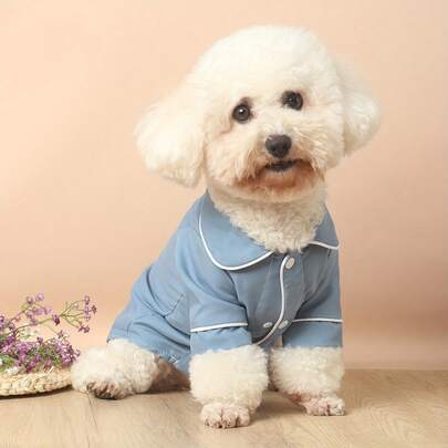 1 Stück hellblaue, nicht dehnbare, leichte und atmungsaktive Haustier-Pyjamas, geeignet für kleine Hunderassen wie Pudel, Teddy, für alle Jahreszeiten (Produkt fällt klein aus, empfehlen Sie 1-2 Größen größer zu bestellen, Vorsicht bei anderen Hunderassen)