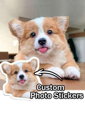 Custom Family Photo Stickers, Picture Stickers, Her Stickers, Personalized Stickers, Custom Pet Stickers, Laptop Stickers, Water Cup Stickers, Car Stickers, Custom Sticker Stickers Kitchen Adhesive Stylish, Adorable, Colorful Custom, Personalized, Unique Ideal Gifts For Her Friends, Son, Daughter, School Students, Workers, Kids