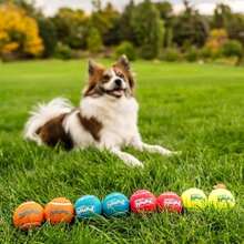 Outward Hound Squeaker Ballz, Interactive Dog Toy, Squeaky Tennis Ball, Durable Dog Toy For Fetch, Multi-Pack Of 8, Small - MàuE - Xem 5