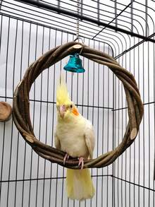 1 pieza Corona tejida con rama de manzano, Aro colgante de loro, Columpio de pájaro, Percha de pájaro, Juguete para roer en forma de círculo de ratán, Suministros educativos para pájaros, Accesorios para jaula de pájaros