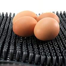 1/6/10pcs 13x11 Inch Premium PE Chicken Nest Box Mats, Durable Waterproof Scratch-Resistant Coop Bedding, Black Gray Orange Green Washable Reusable Nesting Pads With Ventilated Design & Egg Retention Grid, Odorless Easy-Clean Chicken Cop Accessories For Poultry Farms, Spring Cleaning Essentials For Hen House Reptile Habitats Garden Lawn Decoration - View 3