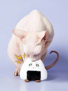 PETSIN 1pc Plush Pet Toy, Suitable For Small Dogs And Cats, Good For Chewing And Boredom Relief - Multicolor - View 2