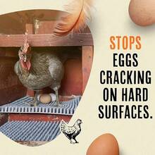 1/6/10pcs 13x11 Inch Premium PE Chicken Nest Box Mats, Durable Waterproof Scratch-Resistant Coop Bedding, Black Gray Orange Green Washable Reusable Nesting Pads With Ventilated Design & Egg Retention Grid, Odorless Easy-Clean Chicken Cop Accessories For Poultry Farms, Spring Cleaning Essentials For Hen House Reptile Habitats Garden Lawn Decoration - View 7