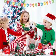 6 件狗狗圣诞玩具圣诞老人和雪人宠物绳玩具互动咀嚼可爱吱吱叫毛绒狗玩具适合圣诞节礼物训练小狗 - 彩色 - 查看 5