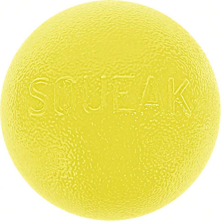 Outward Hound By Planet Dog Squeak Ball Bouncy Fetch Dog Toy, Yellow,17467397 - 黃色 - 查看 1