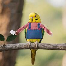 1 件可爱鸟服趣味可调节服装刀持鸟布套装长尾小鹦鹉服装适用于鹦鹉小中大号宠物鸟衣服可水洗万圣节罩装扮节日派对角色扮演服装 - 彩色 - 查看 2