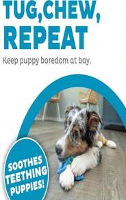 Outward Hound Bone Tugz Tug-Of-War Dog Chew Toy, Blue - ColorA - 查看 5