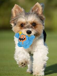 Halloween Dog Toys Monster Design Funny 3 IN 1 Interactive Pet Toys, Puppy Teething Toys Dogs Birthday Gifts, Durable Dog Balls For Small Medium Large Dogs