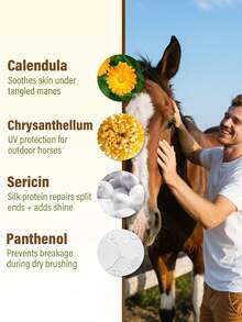 GJYC PET Horse Mane & Tail Dry Cleaning Spray | Quick Clean, Detangle & Refresh For Show-Ready Coats | 6.76 Fl Oz | Cruelty-Free, Natural Formula | For All Horses & Ponies