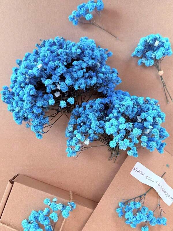 25/50/100/300pcs Mini Gypsophila & Other Dried Flowers - For Resin Mold Art And Handicrafts, Ivory White Bouquet For Hair Accessories, Wedding Wreaths, Tabletop Decor, Home Decoration