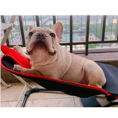 Cadeira de balanço portátil para cães, canil dobrável e lavável, cama de balanço para filhotes, Bulldog Francês, Corgi, cadeira de conforto Teddy