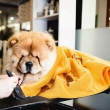 2X Large Pet Dog Cleaning Towel Super Absorbent Fast Drying Microfibre 140x70cm - Blue Orange - View 2