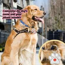 1 件标签，适用于服务性动物、辅助犬和治疗犬，金属宠物身份标签，可挂在宠物项圈上，防止户外游荡 - 彩色 - 查看 2