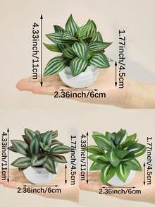 3/6片装高品质仿真盆栽植物叶片，包括网状草、斑马纹胡椒草、胡椒草，迷你盆栽，粉色/绿色可选，PE材质，适用于户外派对装饰、花园装饰、丰收节、圣诞节盆栽。 - 白色 - 查看 4