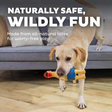 Outward Hound By Charming Pet Squawkers Earl Latex Squeaky Rubber Chicken Dog Toy, Funny Interactive Holiday Toy For Dogs, Large Size - MàuA - Xem 4