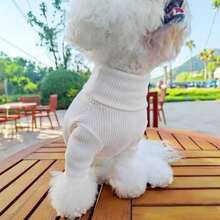 Warm Clothing Suitable For Autumn And Winter, Dog Clothes, Four-Legged Outfits, Turtleneck Sweaters, Teddy Bear Clothes, Bichon Frise Clothes, Pomeranian Clothes, Small Dog Pet Clothes, Autumn And Winter Clothes - Watermelon Pink - View 10