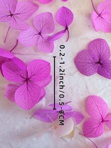 100/200/500/1000pcs Multicolour Hydrangea Dried Flowers-Perfect For DIY Crafts,Candles,Weddings,Diy Handmade,Christmas