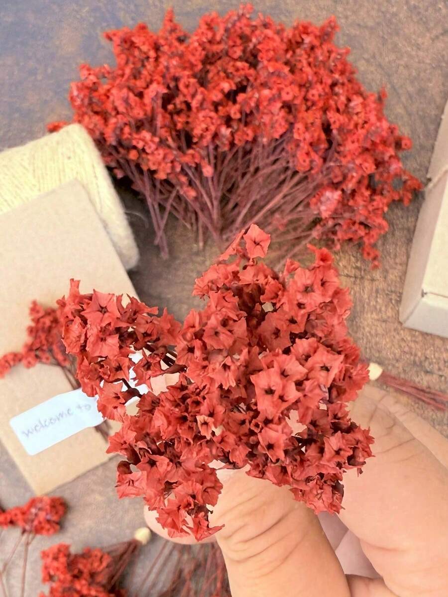 25/50/100/300 buc Mini Gypsophila Alb-Ivory și alte flori uscate - pentru mucegai de rășină, artă și meșteșuguri, potrivit pentru accesorii de păr, coroane de nuntă, decorațiuni de masă, decorațiuni pentru casă