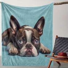 Super Soft Cute Dachshund Prints Flannel Printed 3D Blanket, As Birthday Gifts, Family, Wedding, Souvenir Blankets, Polyester Blankets Suitable For All Seasons, Washable, Machine Washable, Lightweight, Breathable, Comfortable, Warm, Unique, 280gsm For Him, Her Personalized Ideal Gifts For Her, Him, Family, Boyfriend, Girlfriend, Father, Family, Mother, Lover, Daughter, Son, Grandfather, Grandmother, Friend, Classmate, Pet.   Perfect Nap, Camping, Travel, Home, Daily Life, Office Decoration, Birthday, Anniversary, Valentine's Day, Thanksgiving, Christmas, Halloween, Mother's Day, Father's Day, Wedding, New Year Gifts ,Sofa,Bed,Car,Bedroom,Living Room,Office,  Outdoor Camping, Beach,Wall Decoration - 多色7 - 查看 5