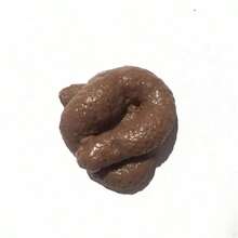 1pc Realistic Poop Fake Poo Toys Gimmick And Prank Toys April Fool's Day Prank Party - Brown - View 5