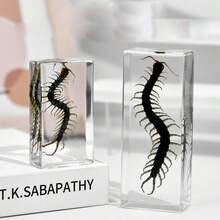 1 pieza Modelo de insecto realista de resina extra grande, Insecto palo mágico invisible, Escorpión dorado, Decoración de resina transparente, Modelo de espécimen educativo, Regalo de investigación de museo, Modelo de espécimen de insecto de resina acrílica transparente