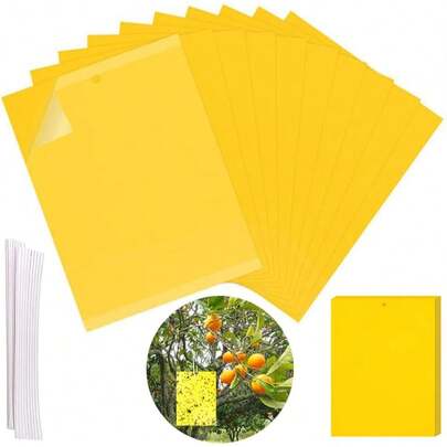100 trappole gialle per insetti, trappole adesive bifacciali, trappola per moscerini della frutta con pannello giallo sospeso per il controllo degli insetti, 15 x 20 cm