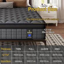 ENSHUI 12/14 Inch Hybrid Mattress Twin Full Queen King – Bed In A Box With Gel Memory Foam And Pocket Springs For Pressure Relief, Cool Breathable Sleep And Edge Support – Medium Firm, Durable, Fiberglass-Free And Odorless Mattress, Ideal For All Sleep Positions And Gift-Ready Comfort - 12 inch - Xem 12