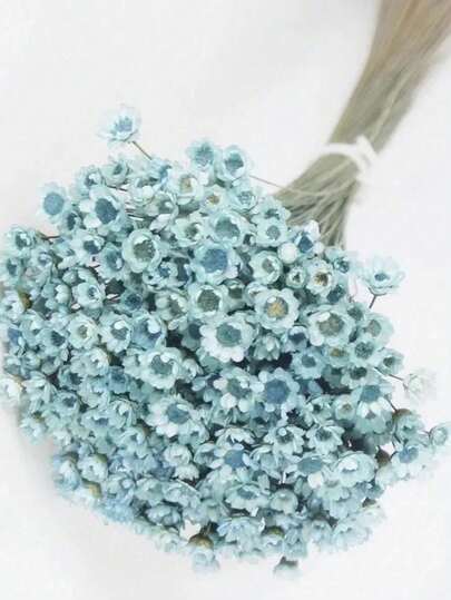 30/60/100/200Pcs,Stems Natural Dry Flowers, Brazilian Small Star Daisy Decorative Dried Flowers, Mini Daisy Chamomile Bouquet For Wedding Floral Arrangements Home Decorations Valentine's Day Gifts