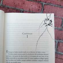 Una corte de rosas y espinas de Sarah J. Maas. Quitó una vida. Ahora debe de pagar con su propio corazón. Novela de romance, Novela fantasía, Drama y fantasía. - Libro único - Ver 4