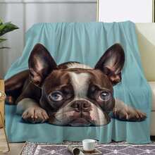 Super Soft Cute Dachshund Prints Flannel Printed 3D Blanket, As Birthday Gifts, Family, Wedding, Souvenir Blankets, Polyester Blankets Suitable For All Seasons, Washable, Machine Washable, Lightweight, Breathable, Comfortable, Warm, Unique, 280gsm For Him, Her Personalized Ideal Gifts For Her, Him, Family, Boyfriend, Girlfriend, Father, Family, Mother, Lover, Daughter, Son, Grandfather, Grandmother, Friend, Classmate, Pet.   Perfect Nap, Camping, Travel, Home, Daily Life, Office Decoration, Birthday, Anniversary, Valentine's Day, Thanksgiving, Christmas, Halloween, Mother's Day, Father's Day, Wedding, New Year Gifts ,Sofa,Bed,Car,Bedroom,Living Room,Office,  Outdoor Camping, Beach,Wall Decoration - 多色7 - 查看 1